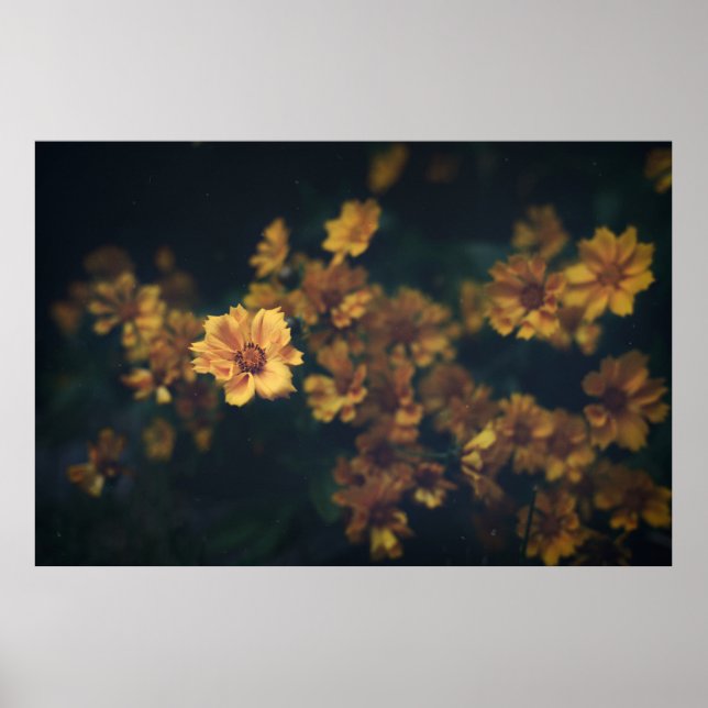 POSTER FOTOGRAFIA BOKEH DAS FLORES AMARELAS (Frente)