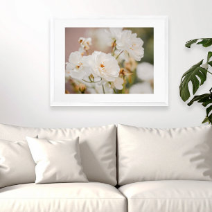 Poster Fotografia Botânica Floral de Rosas Brancas da Nat