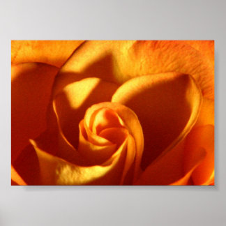 Póster Fotografia da beleza do Rosa sunset