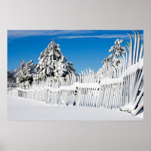 Póster Fotografia da cerca do esqui da neve