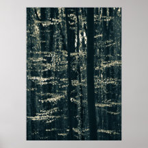 Fotografia da floresta Beech