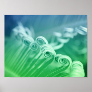 Poster Fotografia da natureza de palmeira Tropical de Sag