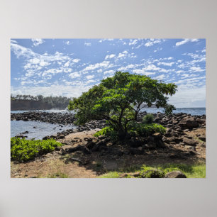 Poster Fotografia da Paisagem Natural Havaiana