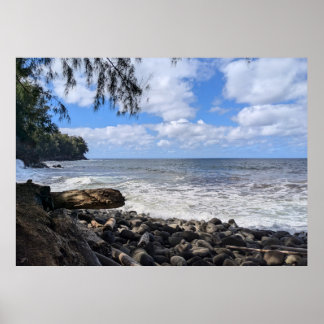 Poster Fotografia da Paisagem Natural Havaiana