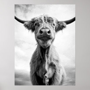 Poster Fotografia de Arte com Estilo de Vaca Sagrada