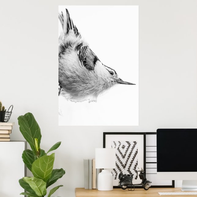 Poster Fotografia de aves brancas (Escritório em casa)