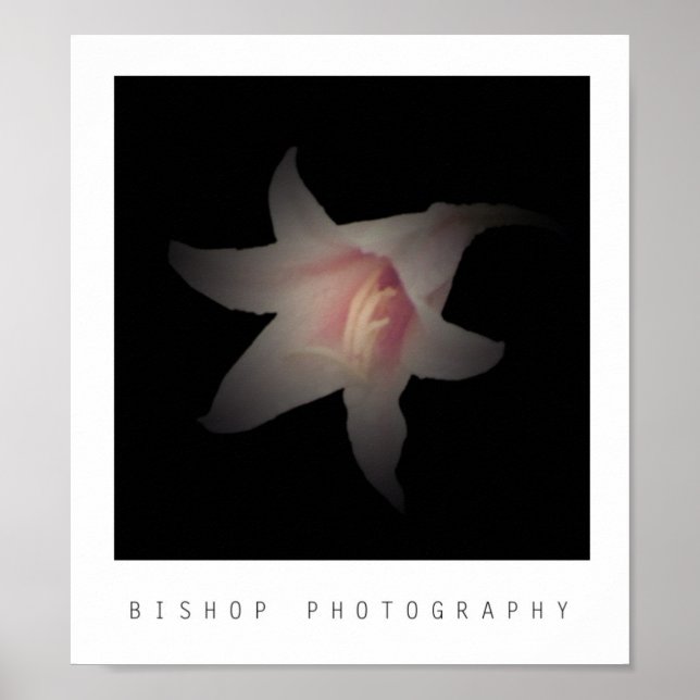 Poster Fotografia de Bishop (Frente)