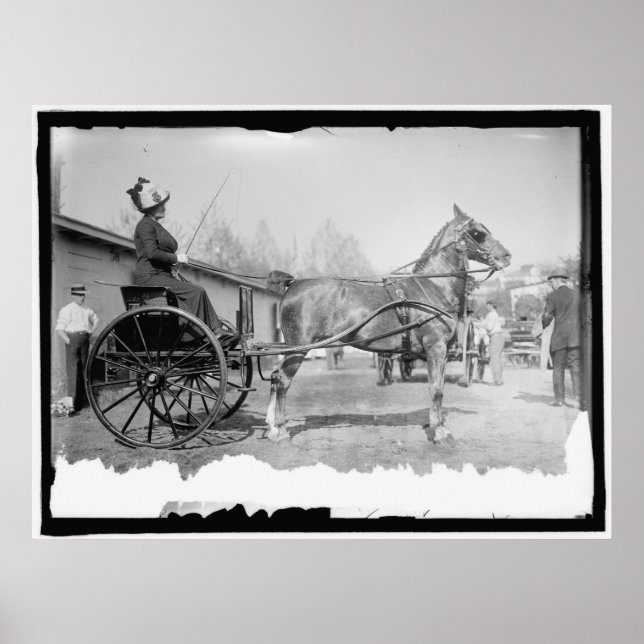 Poster Fotografia de Cavalo em 1911 (Frente)