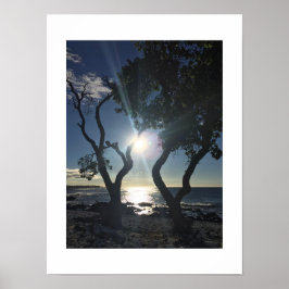 Poster Fotografia de Cor Azul Sunlit Shore Hawaii
