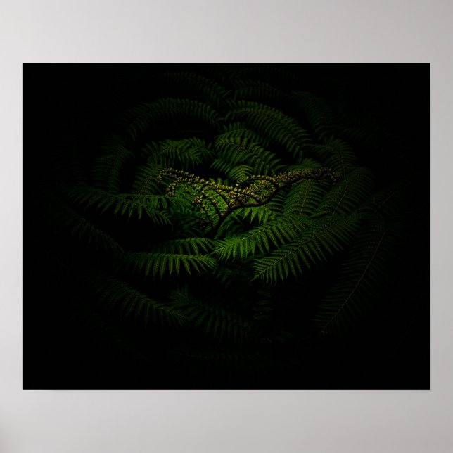 Poster Fotografia de Fern Fine Art (Frente)