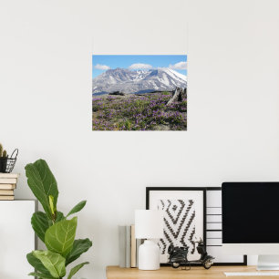 Poster Fotografia de Flores Silvestres do Monte St Helens