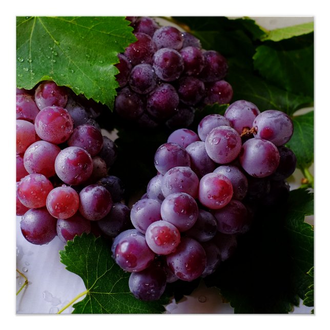 Póster Fotografia de Fruta de Grapevine (Frente)