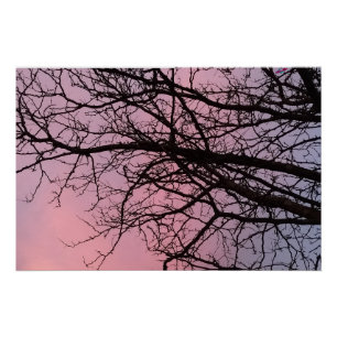 Póster Fotografia de galhos de árvore ao pôr do sol Plane