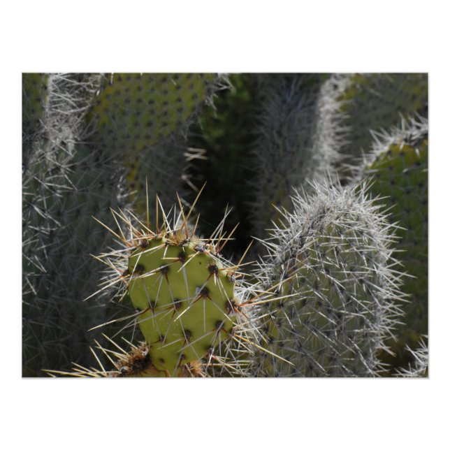 Póster Fotografia de pera rápida, fechar (Frente)