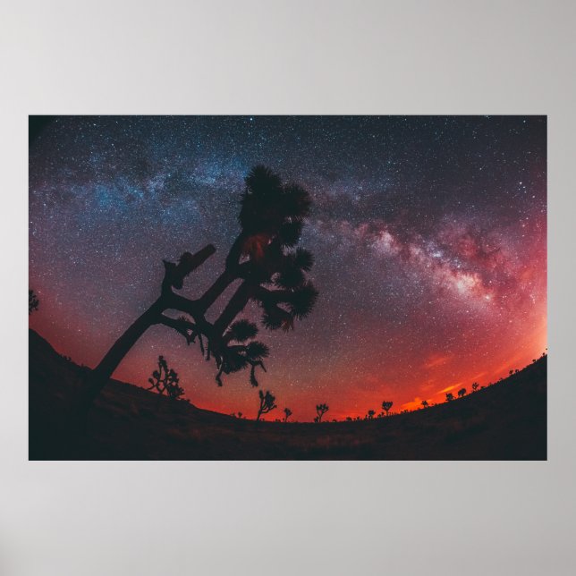 POSTER FOTOGRAFIA DE PESCADO DA ÁRVORE DE SILHOUETTE (Frente)