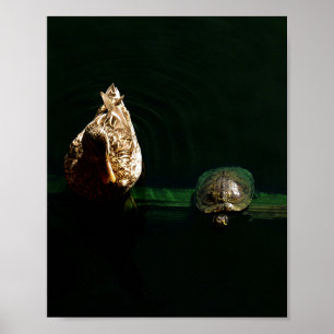 Póster Fotografia de Tartaruga e Pato