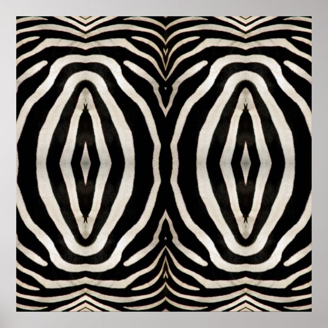 Póster Fotografia de uma verdadeira Pele de Zebra (Frente)