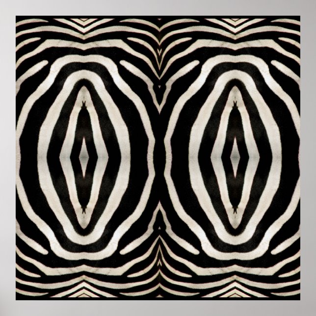 Póster Fotografia de uma verdadeira Pele de Zebra (Frente)