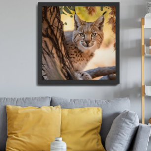 Poster Fotografia de Wildlife Closeup de Bobcat