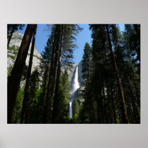 Poster Fotografia de Yosemite Falls and Woods Landscape
