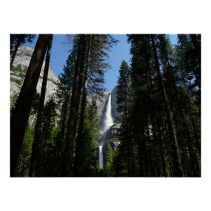 Póster Fotografia de Yosemite Falls and Woods Landscape