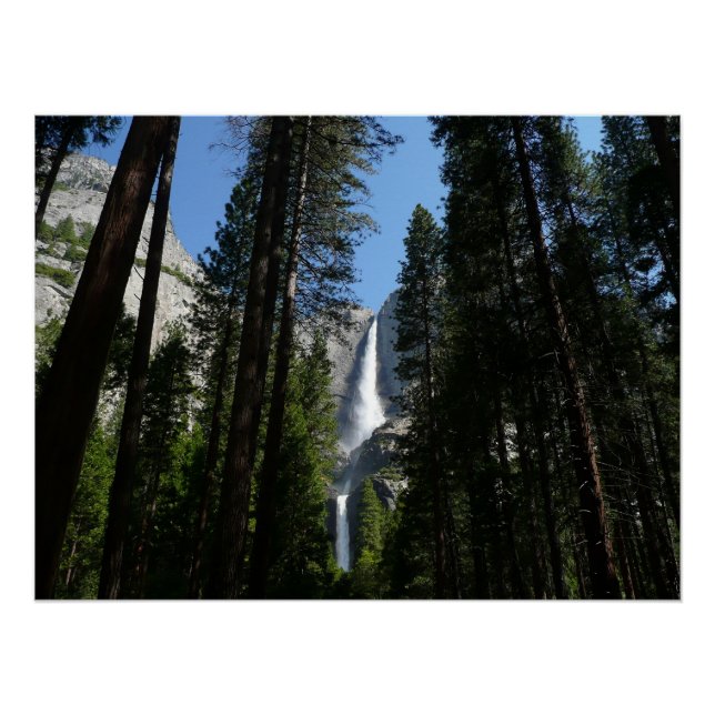 Póster Fotografia de Yosemite Falls and Woods Landscape (Frente)