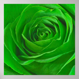 Póster Fotografia do Abstrato Emerald Green Rosa