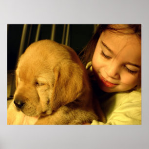 Póster Fotografia do cão de filhote de cachorro do golde