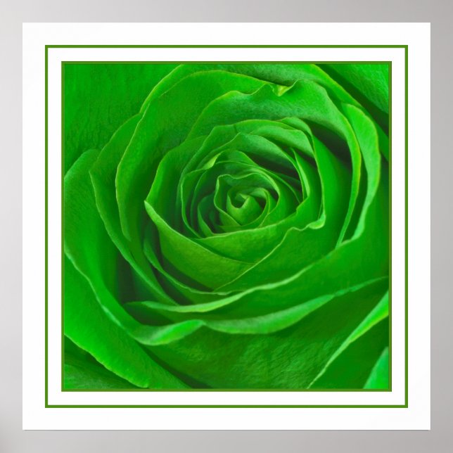 Póster Fotografia do Centro de Rosa Verde abstrato Emeral (Frente)