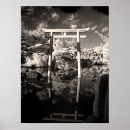 Póster Fotografia do Jardim Infravermelho