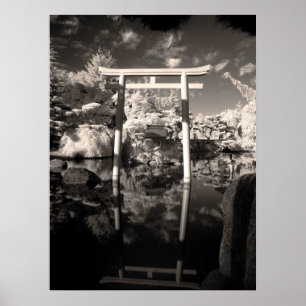Póster Fotografia do Jardim Infravermelho