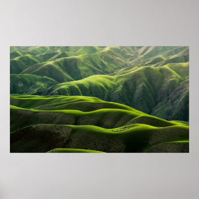 POSTER FOTOGRAFIA DO OLHOS DA AVE DAS MONTANHAS VERDES (Frente)