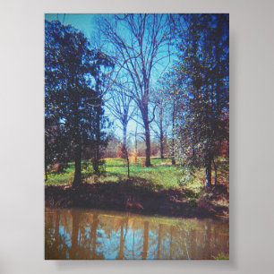 Poster Fotografia do Vintage Daffodil Lake