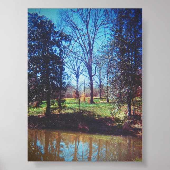 Poster Fotografia do Vintage Daffodil Lake (Frente)