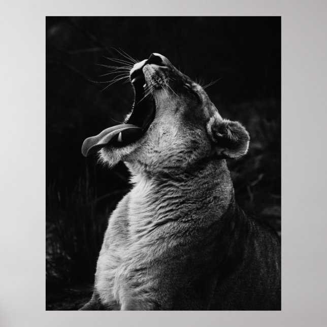POSTER FOTOGRAFIA EM GRAYSCALE DE SONHAGEM (Frente)