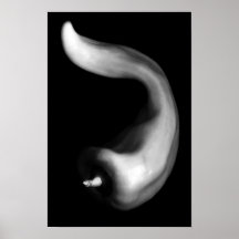 Fotografia em Preto e Branco de Pimentão Curvilíne