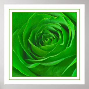 Póster Fotografia esmeralda abstrata do centro do rosa