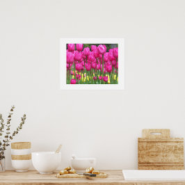 Póster Fotografia Floral do Jardim das Tulipas Rosa