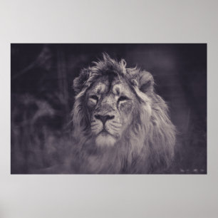 POSTER FOTOGRAFIA GRAYSCALE DE LÍON
