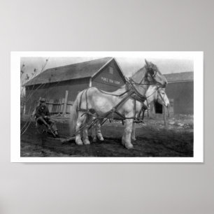 Póster Fotografia histórica da fazenda da fileira do