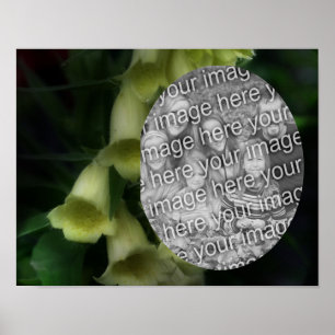 Poster Fotografia Intensa das Flores de Foxglove Adiciona
