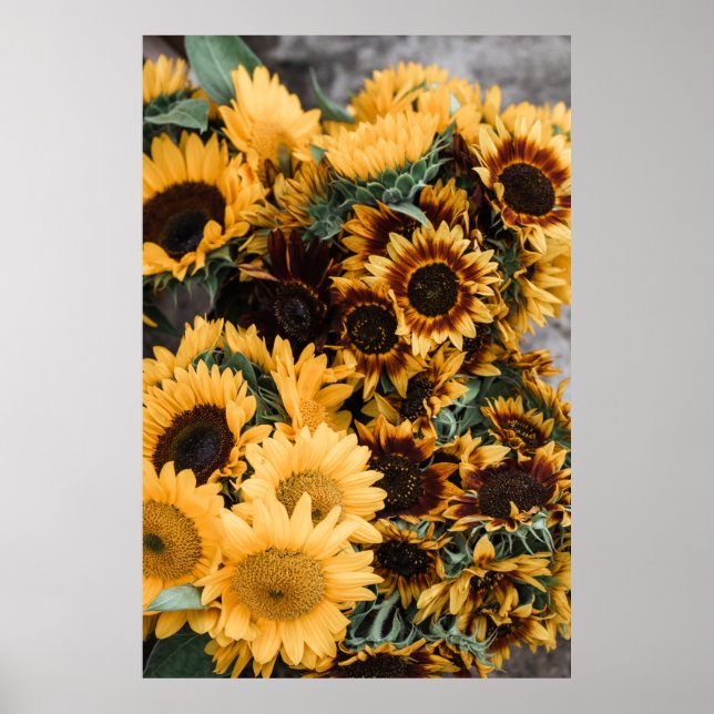 POSTER FOTOGRAFIA MACRO DE FLORES AMARELOS (Frente)
