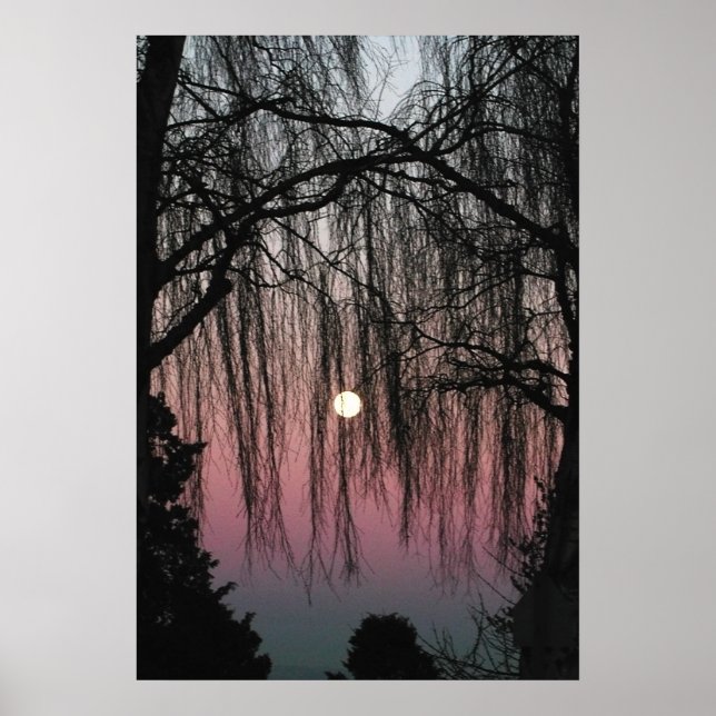 Poster Fotografia Moon Through Trees (Frente)