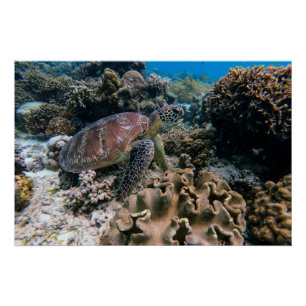 Póster Fotografia náutica marinha aquática