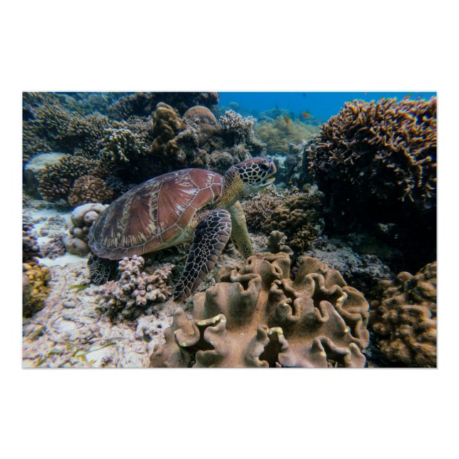 Póster Fotografia náutica marinha aquática (Frente)