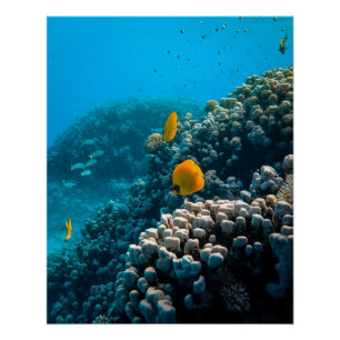 Póster Fotografia náutica marinha aquática