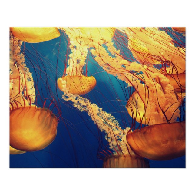 Póster Fotografia náutica marinha aquática (Frente)