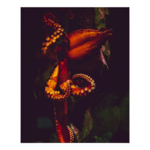 Póster Fotografia náutica marinha aquática