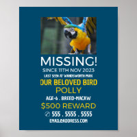 Fotografia Personalizada, Animal de Estimação Perd