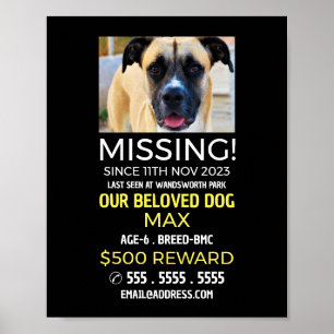 Poster Fotografia Personalizada, Pet Ausente e Perdido